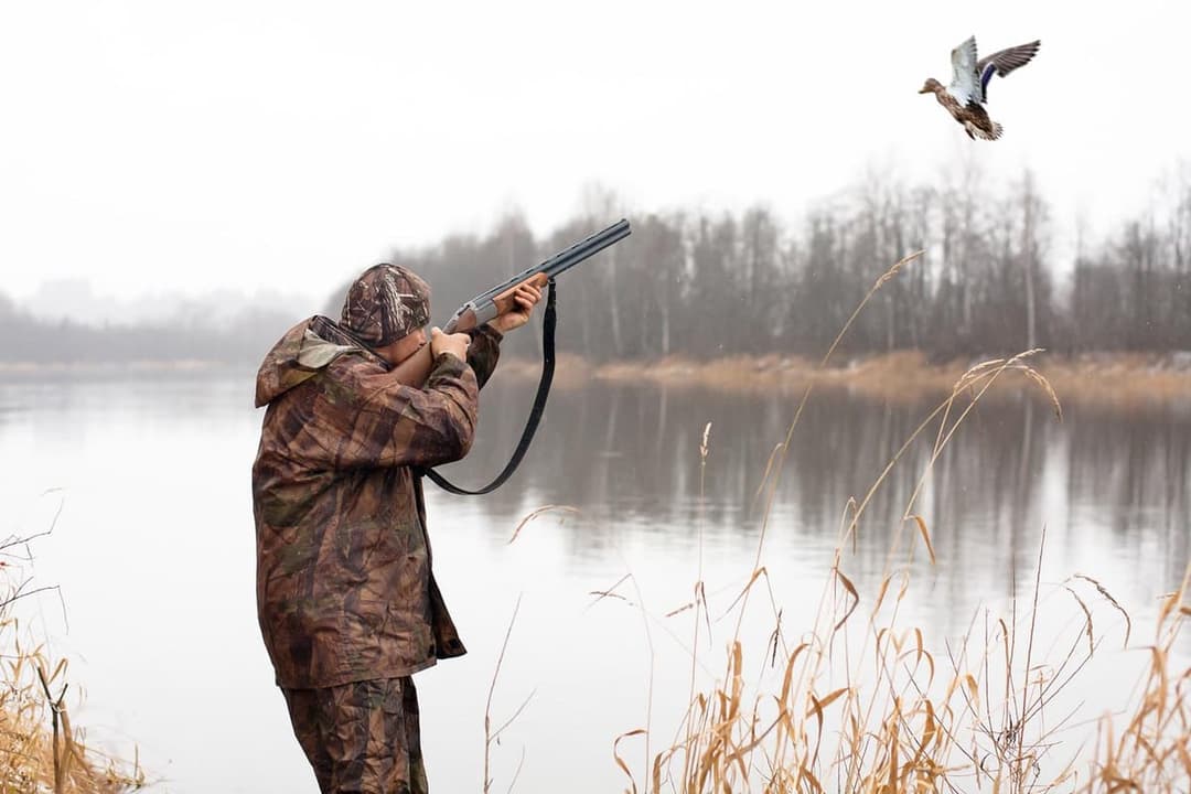 Host outdoor experience